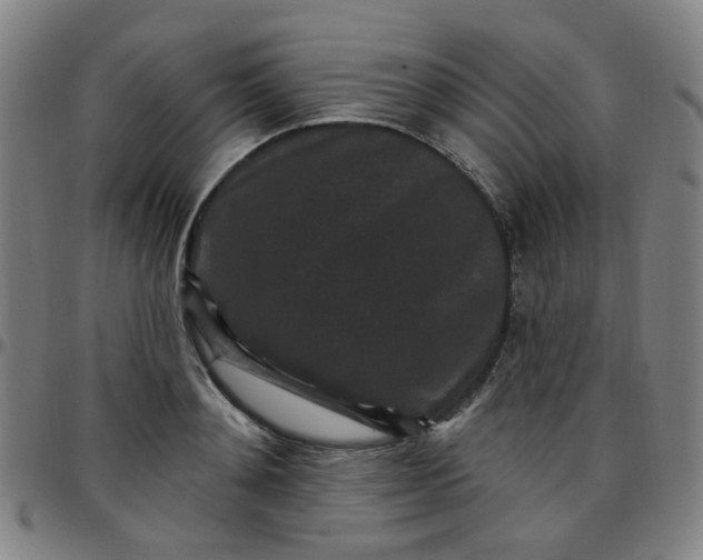 X0000097490892200803071736