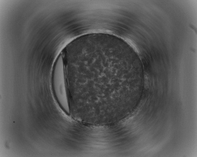 X0000097490895200803071736