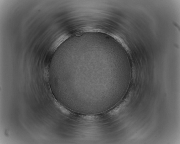 X0000097490897200803071736