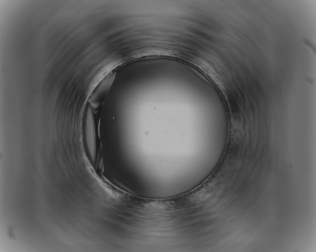 X0000097490898200803071736