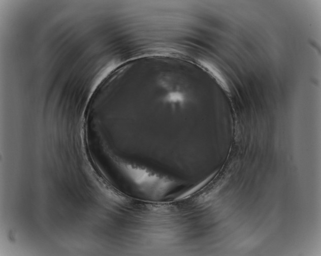 X0000097490899200803071736