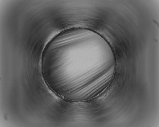 X0000097490902200803071736