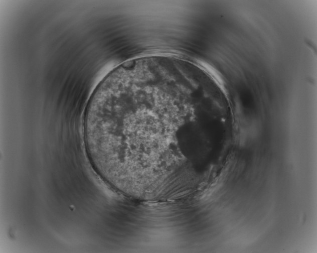 X0000097490907200803071736