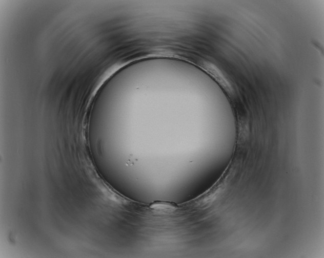 X0000097490908200803071736