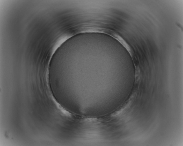 X0000097490909200803071736