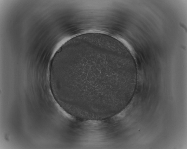 X0000097490910200803071736