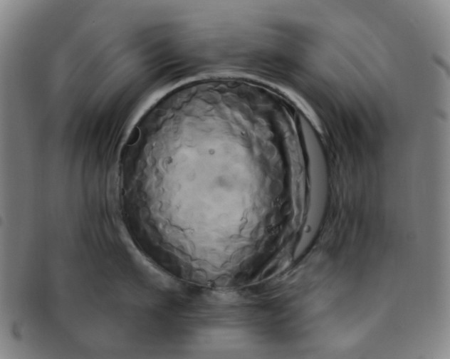 X0000097490911200803071736