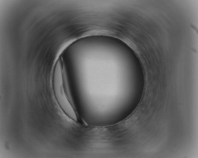 X0000097490912200803071736