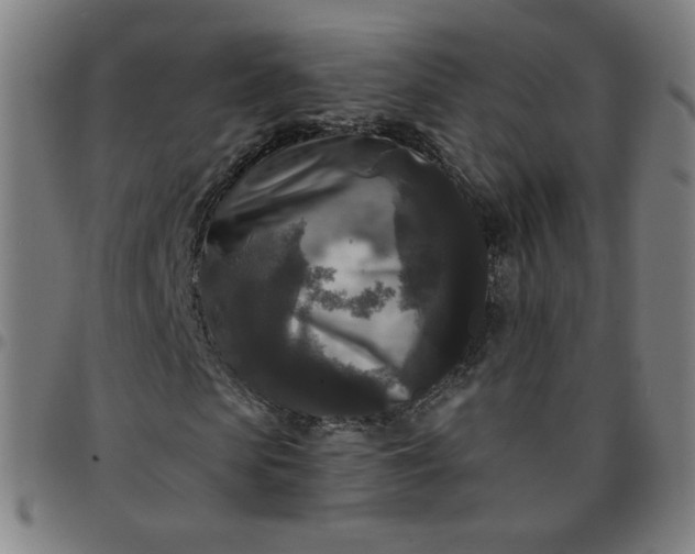 X0000097490913200803071735