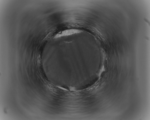 X0000097490915200803071736