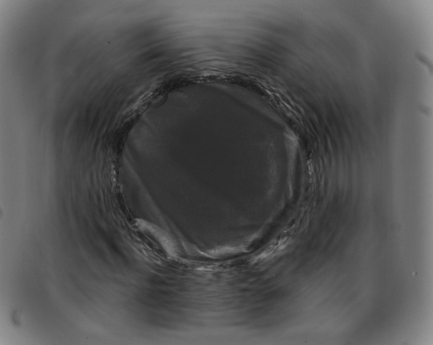 X0000097490916200803071736