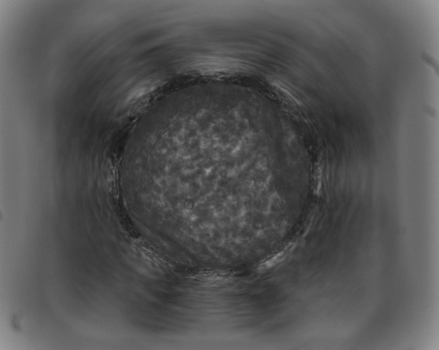 X0000097490917200803071736