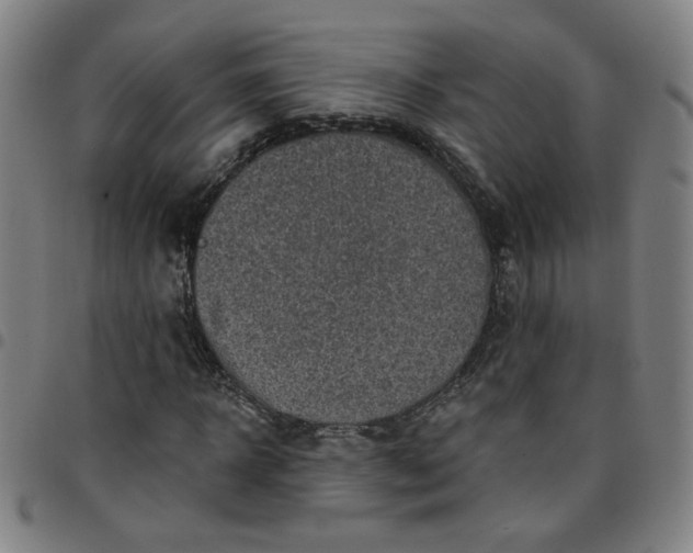 X0000097490918200803071736