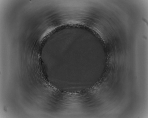 X0000097490919200803071736