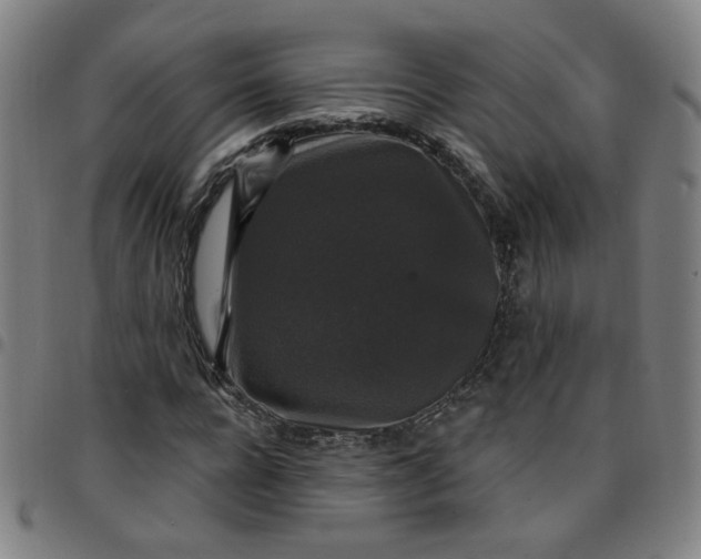 X0000097490920200803071736