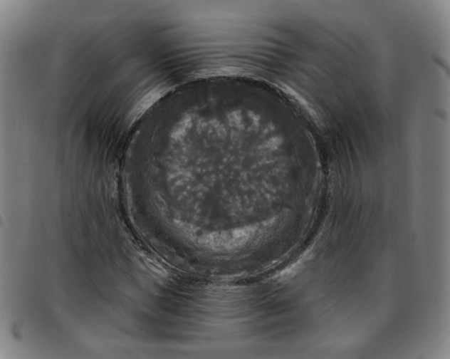 X0000097490921200803071736