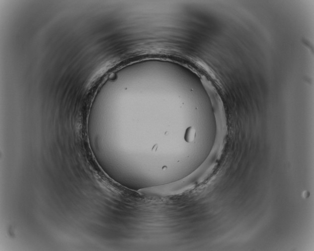 X0000097490922200803071736