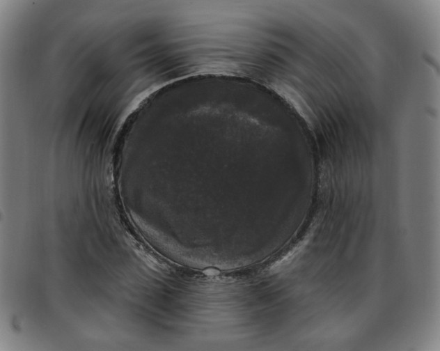 X0000097490923200803071736