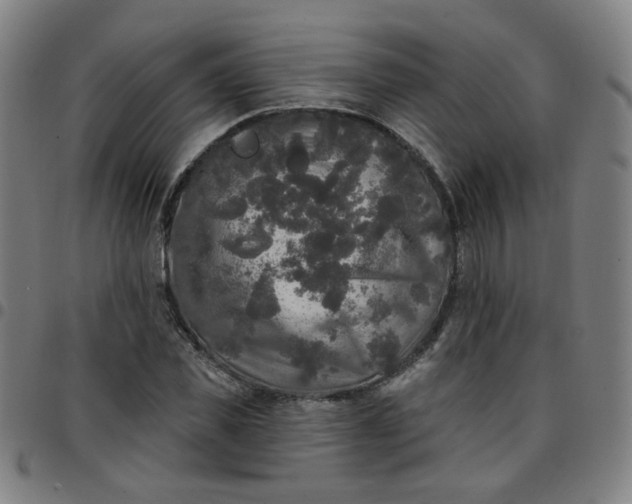 X0000097490925200803071736