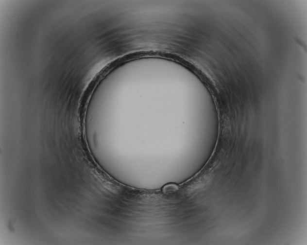 X0000097490927200803071736