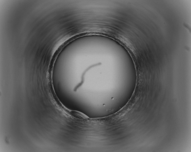 X0000097490928200803071736