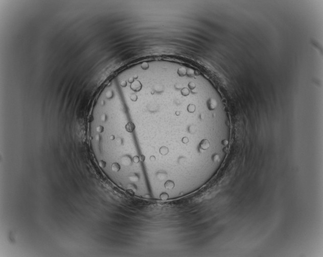 X0000097490929200803071736