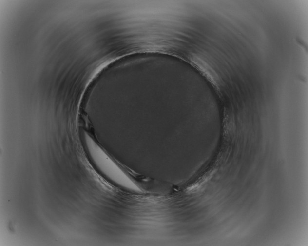 X0000097490932200803071736