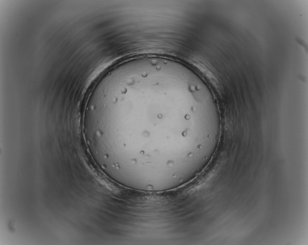 X0000097490933200803071736