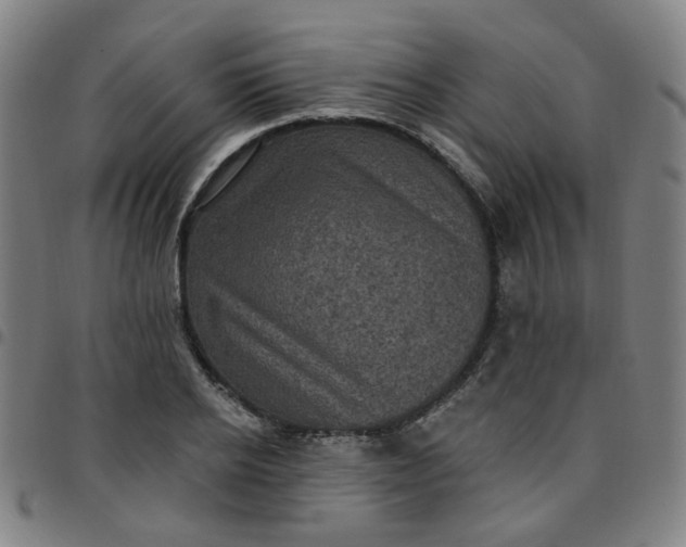 X0000097490934200803071736