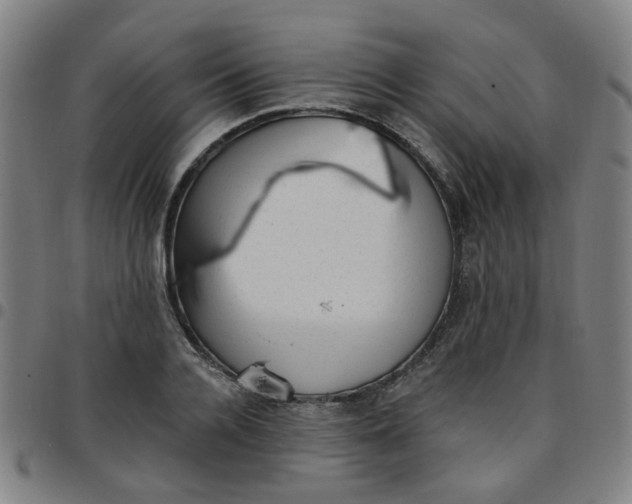 X0000097490936200803071736