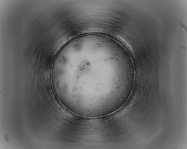 X0000097490937200803071736