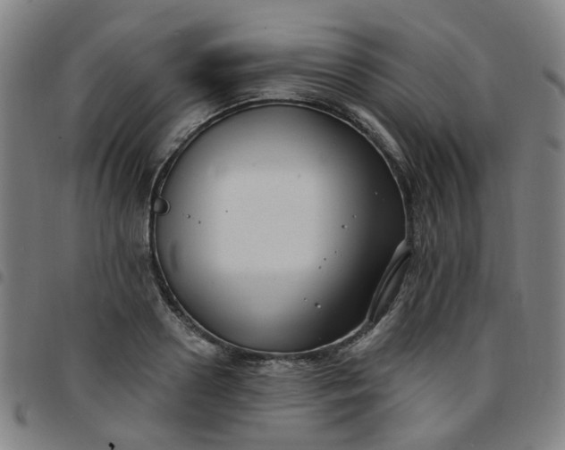 X0000097490938200803071736