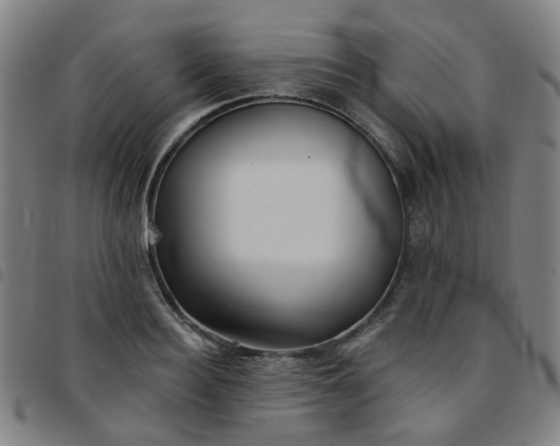 X0000097490940200803071736