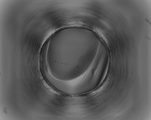 X0000097490941200803071736