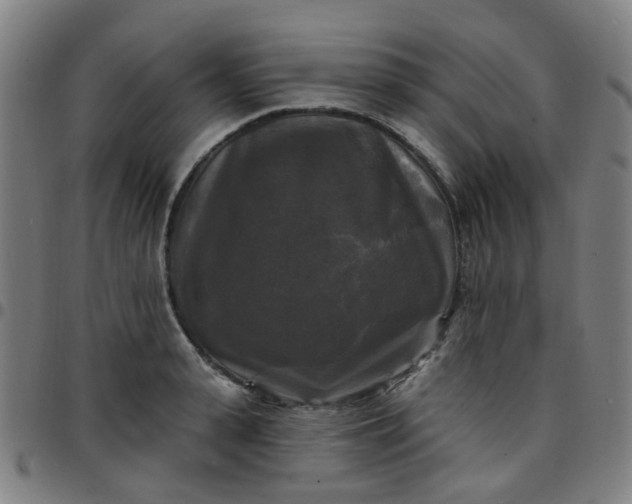 X0000097490943200803071736