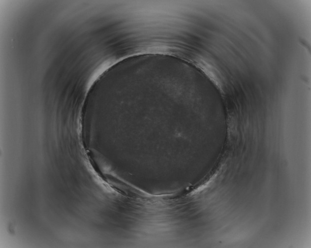 X0000097490944200803071736