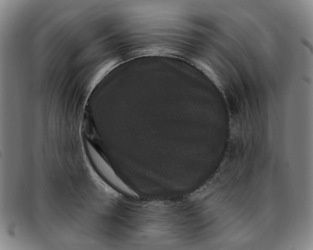 X0000097490946200803071736