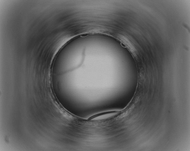 X0000097490948200803071736