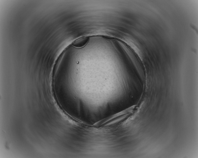 X0000097490949200803071736