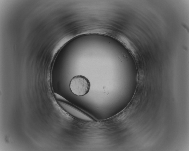 X0000097490952200803071736