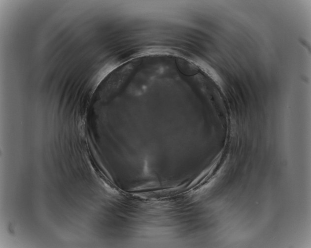 X0000097490953200803071736