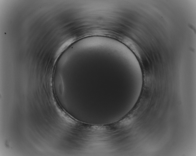 X0000097490954200803071736