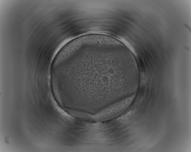 X0000097490955200803071736