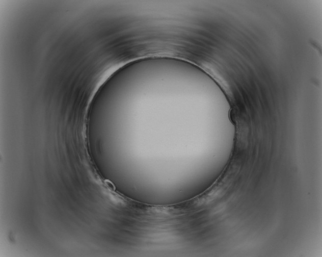 X0000097490956200803071736