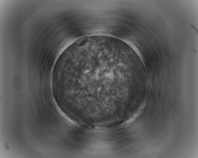 X0000097490957200803071736