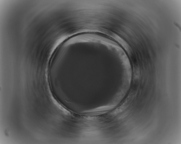 X0000097490958200803071736