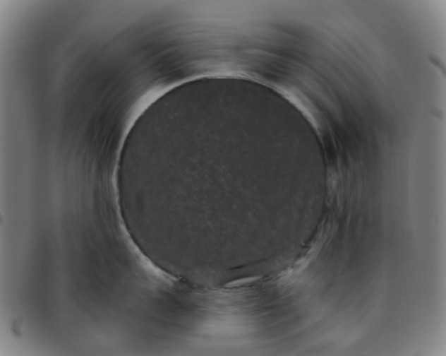 X0000097490959200803071736