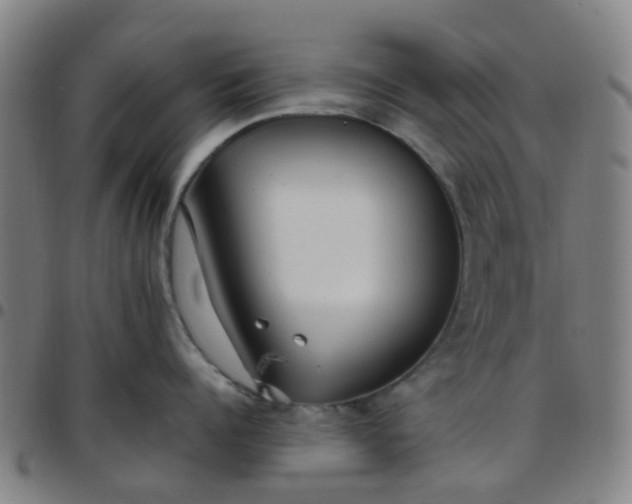 X0000097490960200803071736