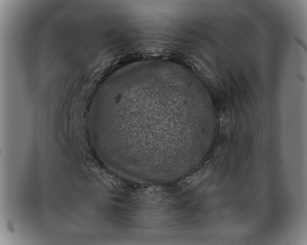 X0000097490961200803071735