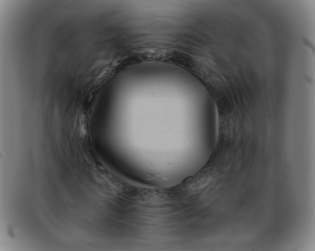 X0000097490962200803071735